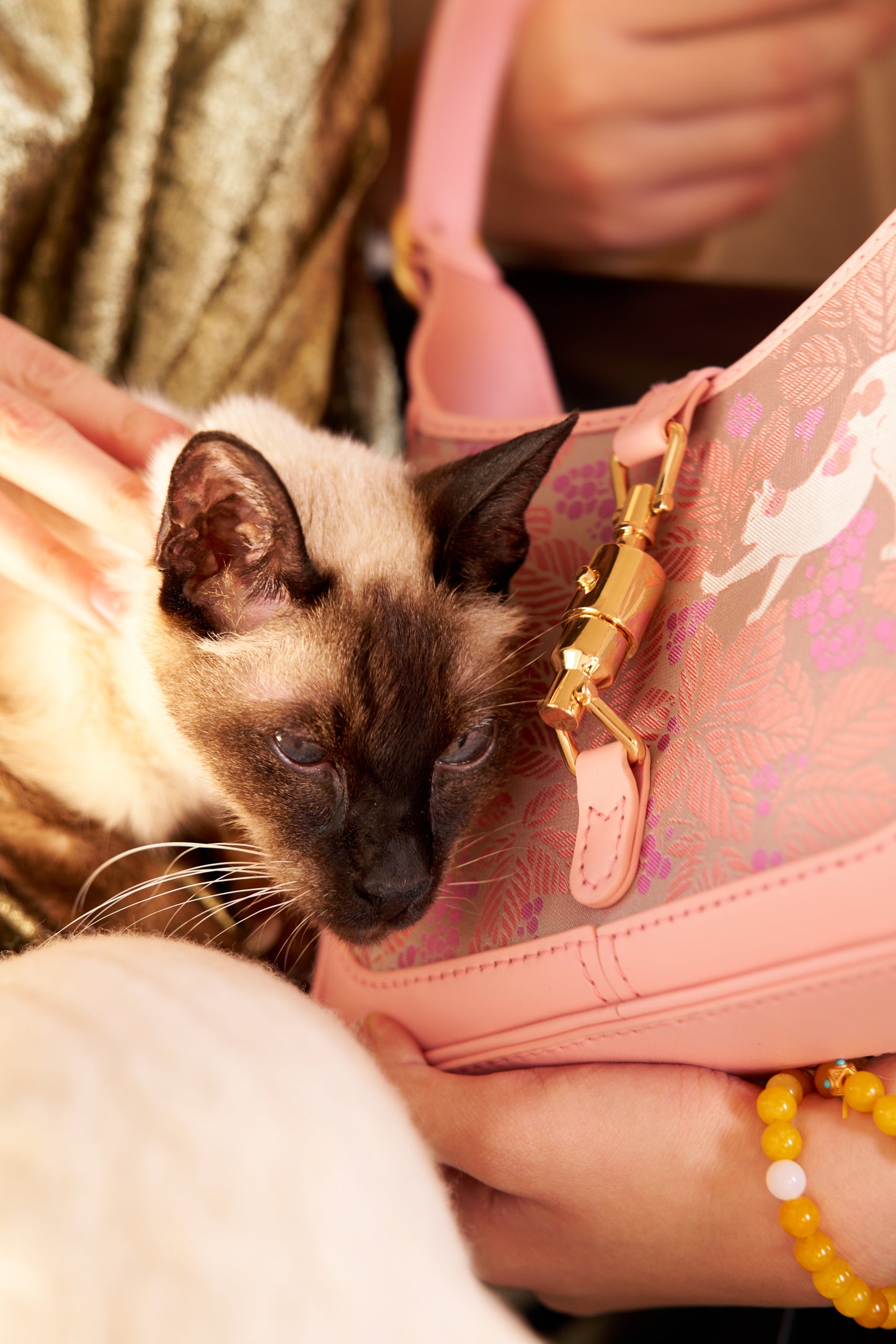 Underarm Bag - Cat Diary